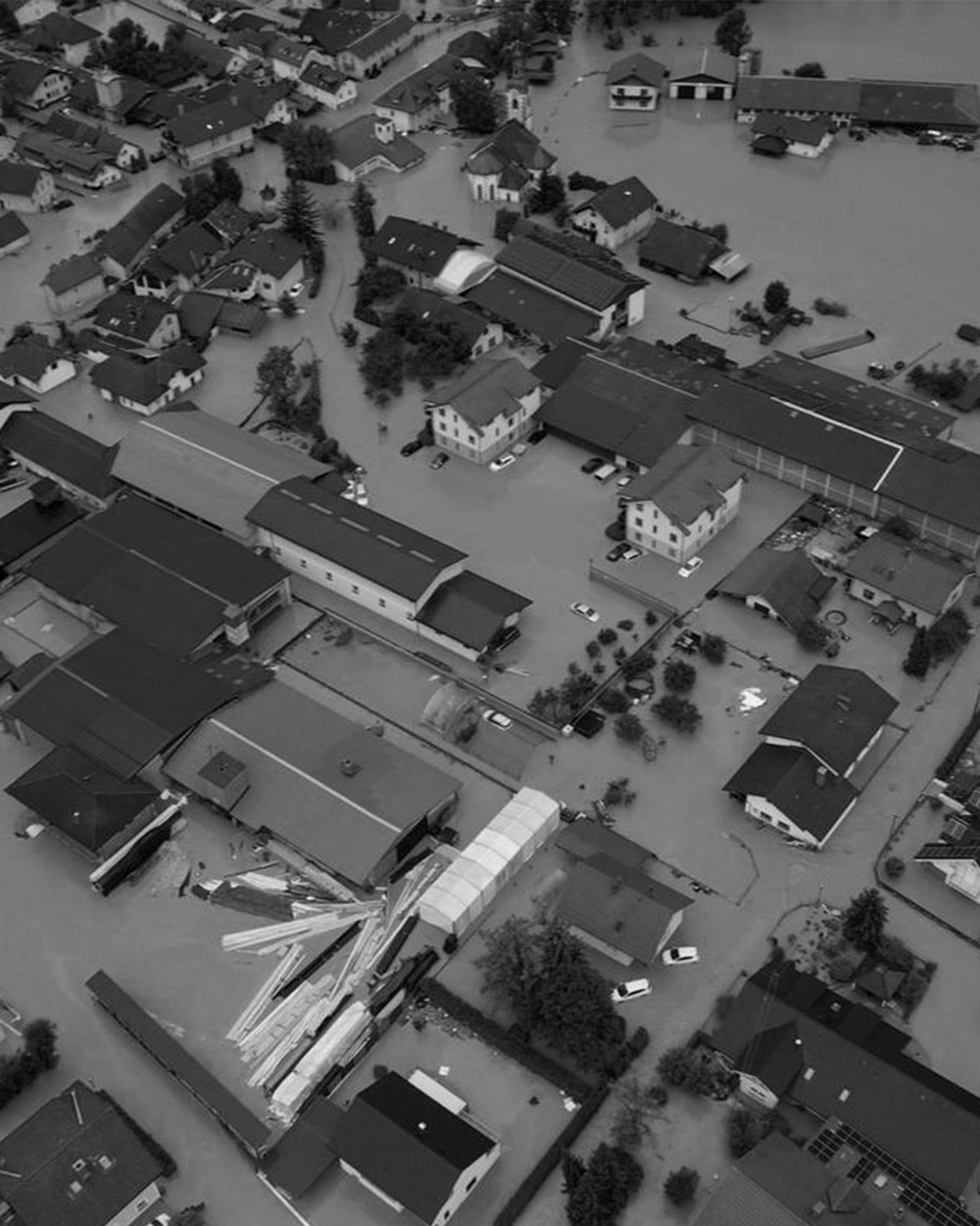 After the Floods: Building a More Sustainable Future – Mila.Vert After the Floods: Building a More Sustainable Future – Mila.Vert